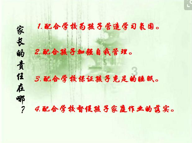 可怜猫的救援